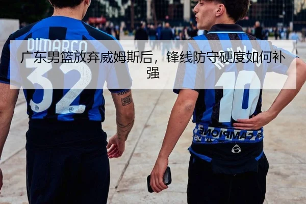 广东男篮放弃威姆斯后，锋线防守硬度如何补强